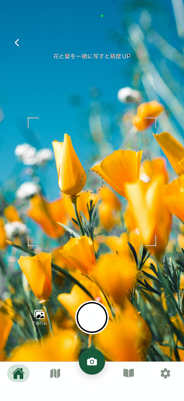 カメラ撮影画面